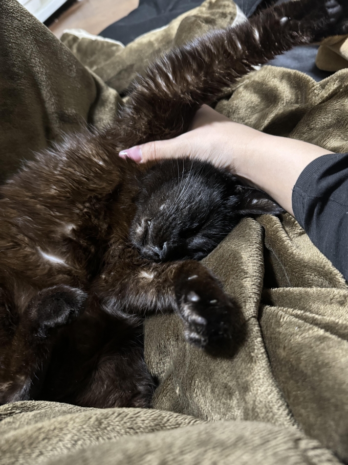 眠たいよーーーさむいよーー