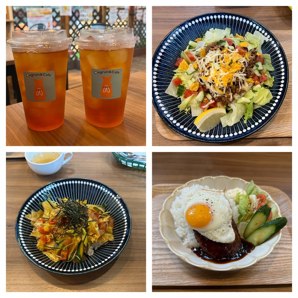 ひつじが転んだり、犬も飛んだり