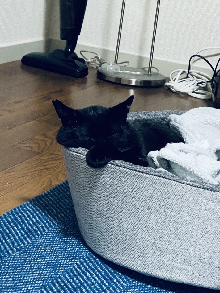 本日店休申し訳ない！