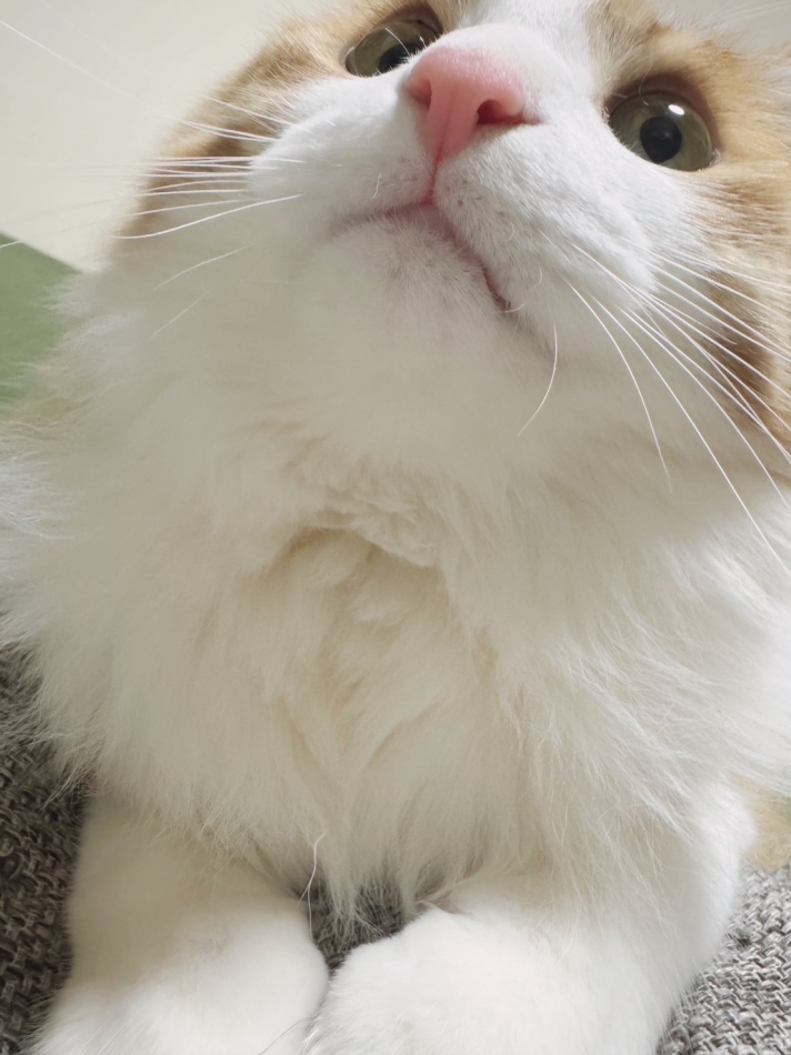 CLUB Red日記1317249