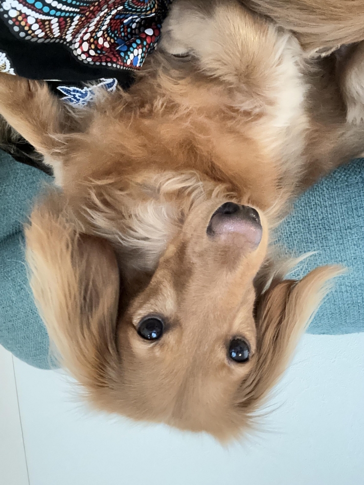 New KANAKO日記1526987