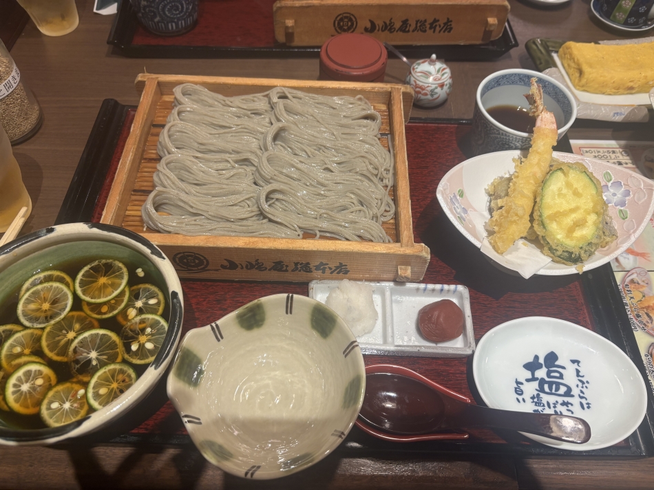 一条 葵