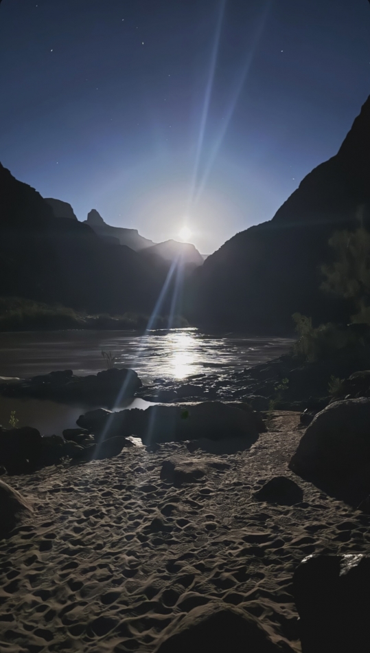 こうゆうのが好きなの