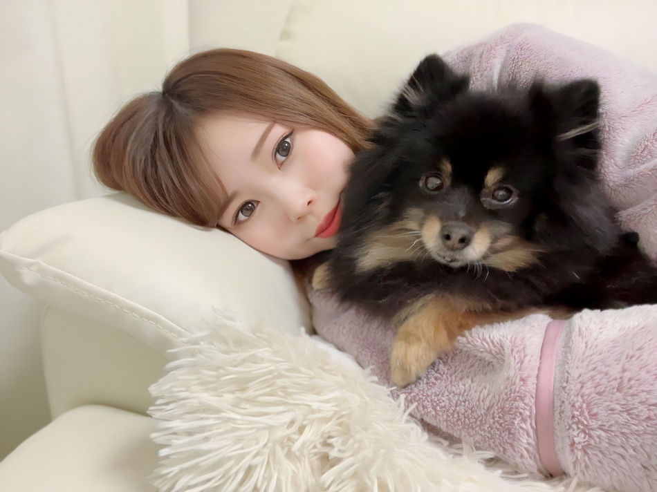 ウ、ヤ、イ、ハ！