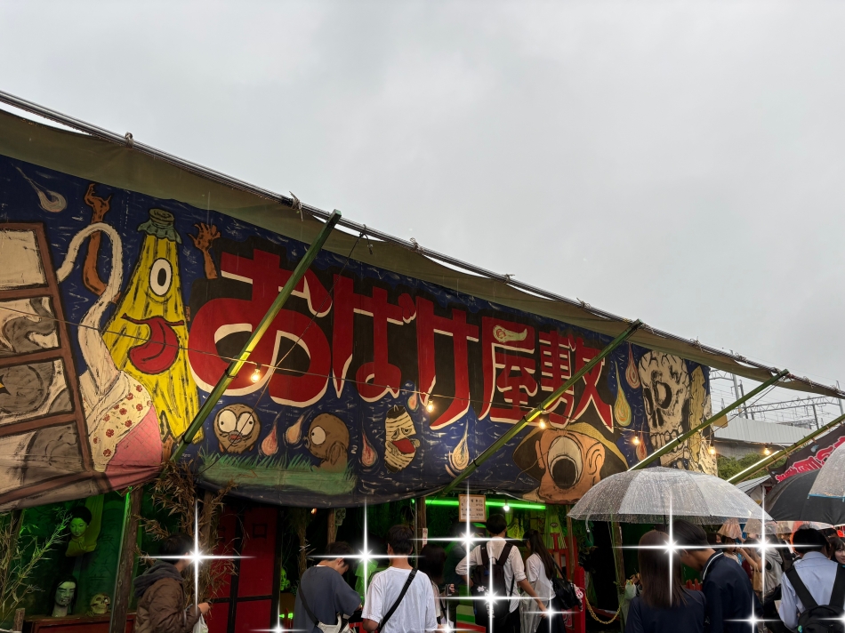 一条 葵