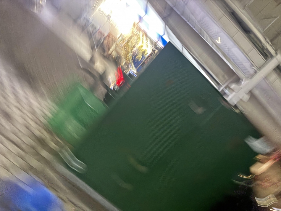 一条 葵