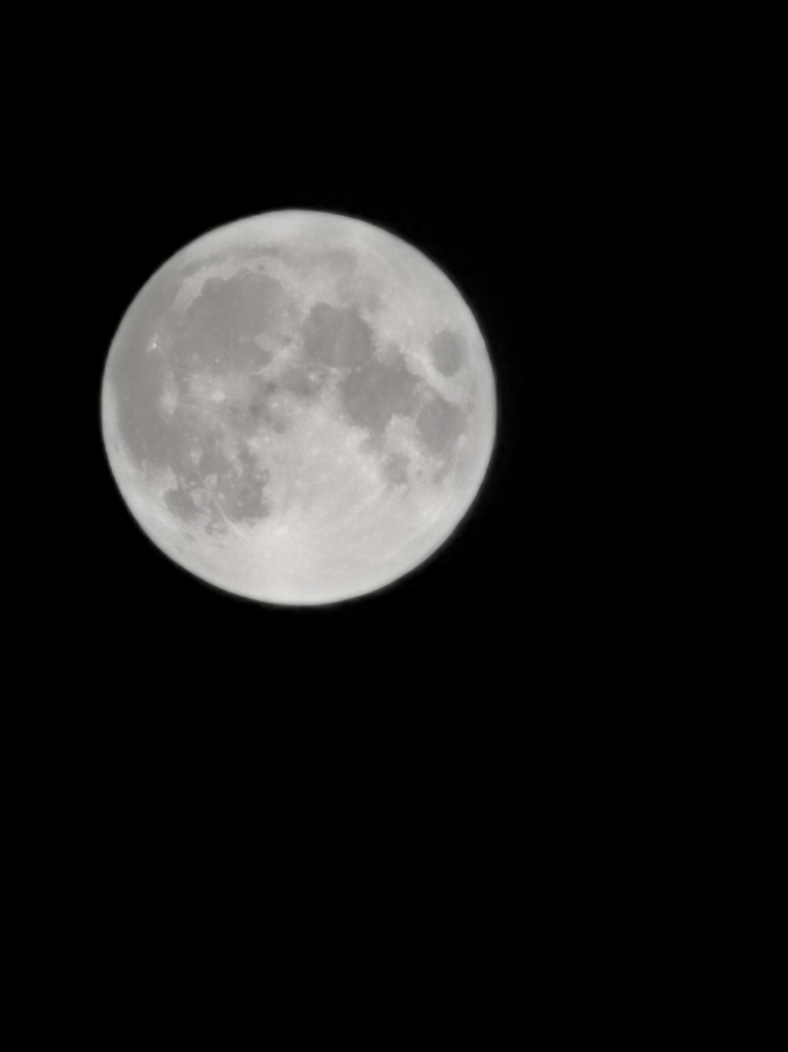 JEUNESSE日記1404392