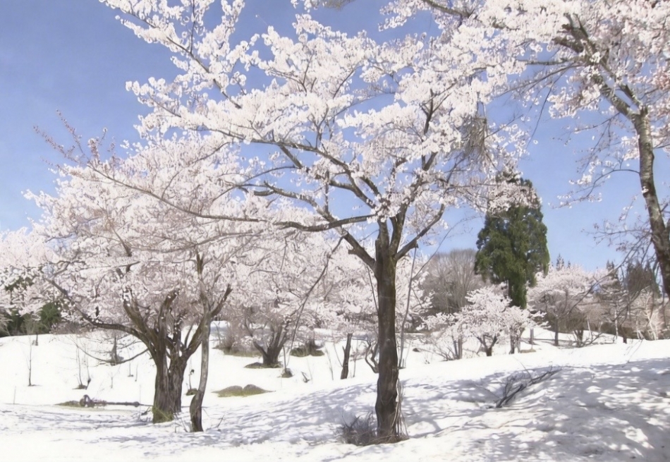 カラオケハイボールbar美人姉妹日記1612625