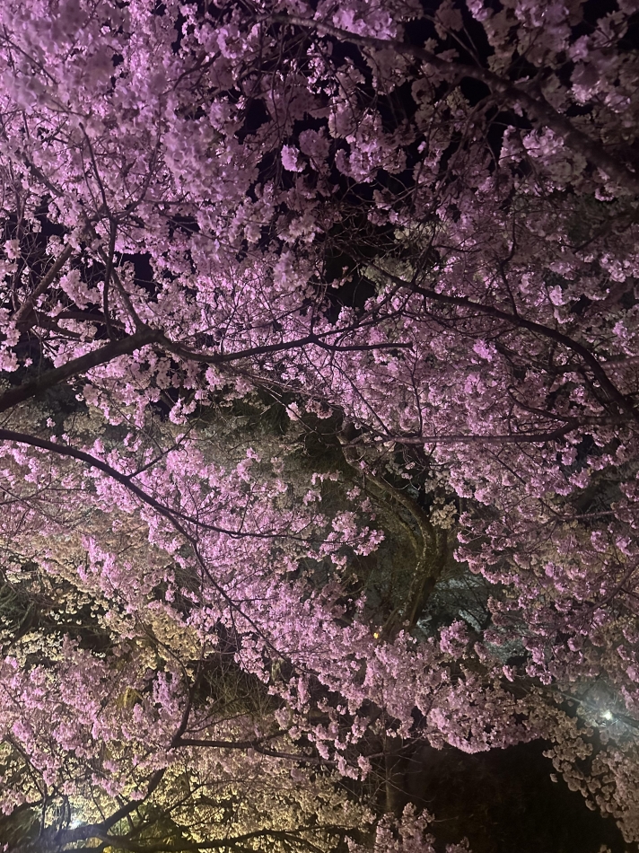 4月16日 21時04分のブログ