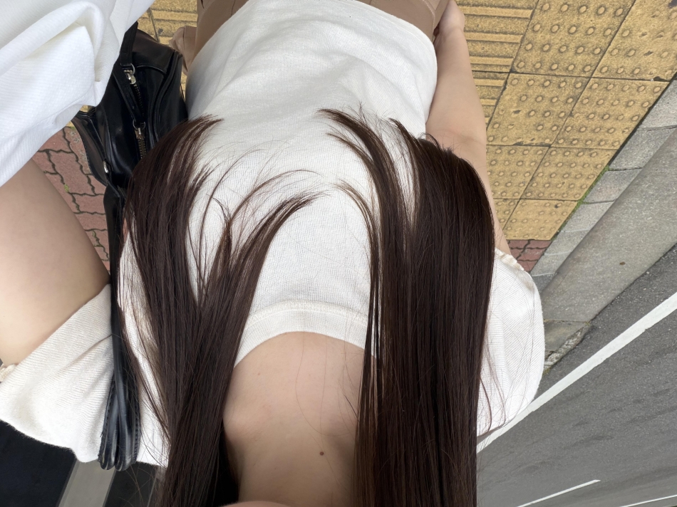 一条 葵