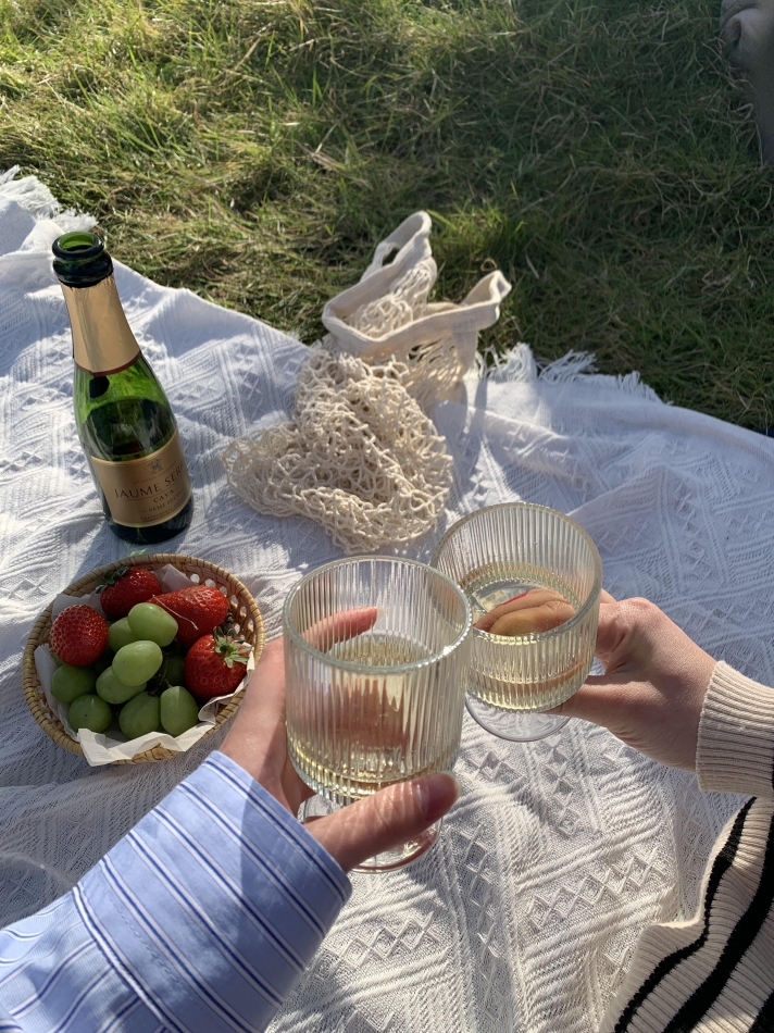 Premium　Ragdoll日記1332833