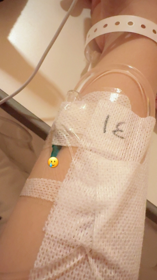 コンセプトカフェ あにまる宮殿日記1507221