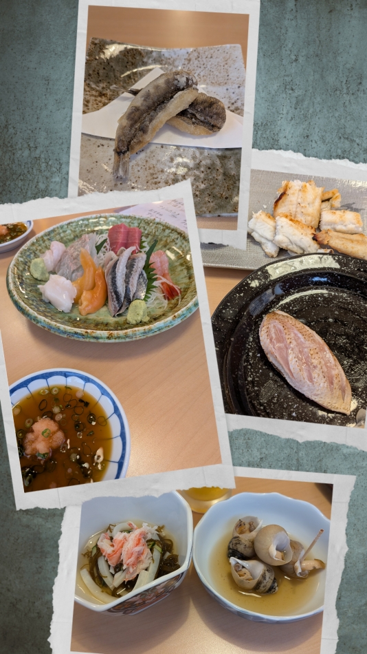 一条 葵