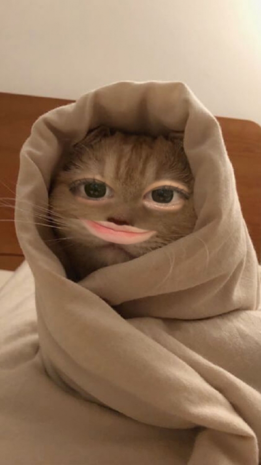 今日はバームクーヘンの日です