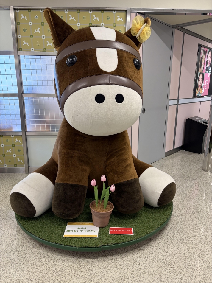 一条 葵