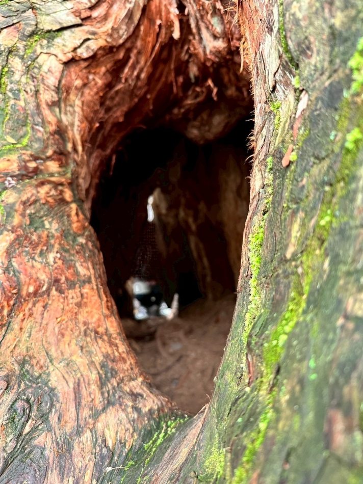 K-Lounge日記1517973