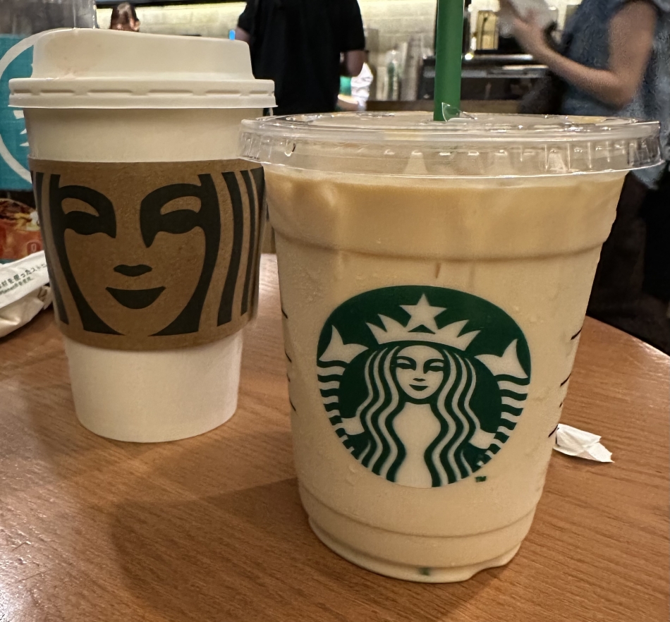 一条 葵