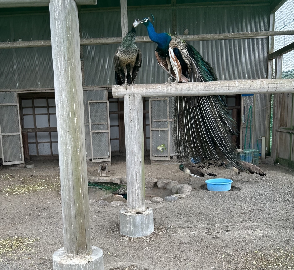 カラオケフードバー Mimi日記1401555