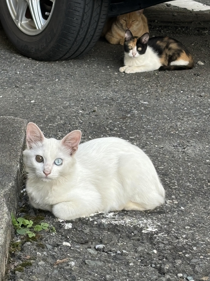 かわい子ちゃん🩷