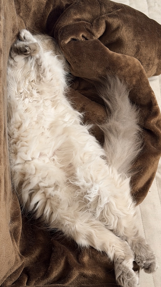 Lounge Anshu日記1615763