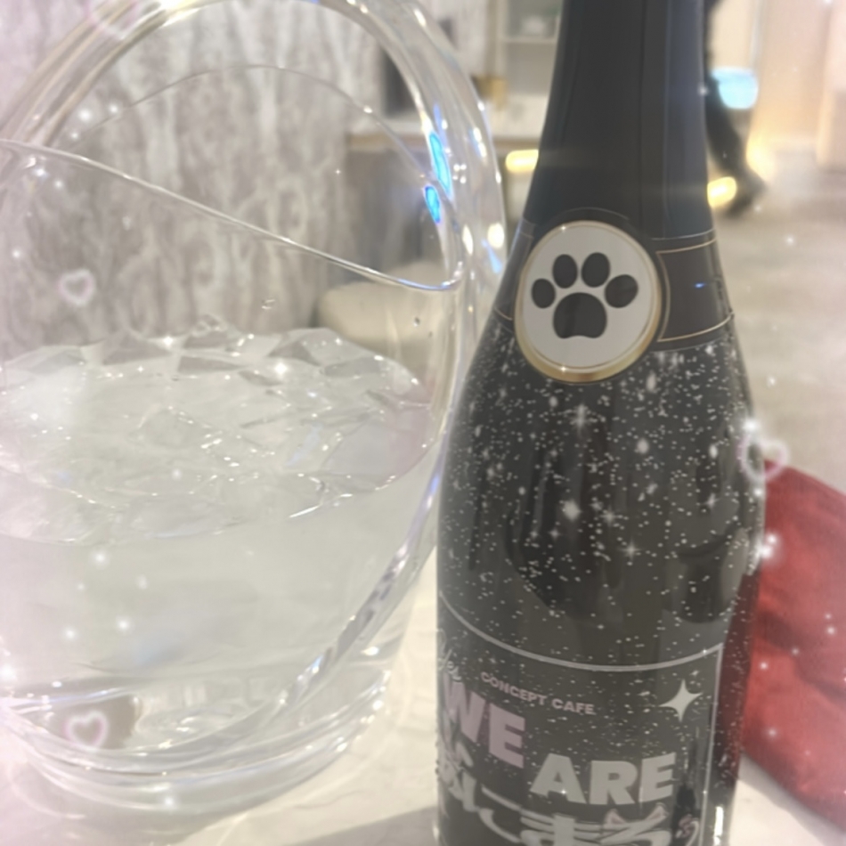 12月14日 20時31分のブログ