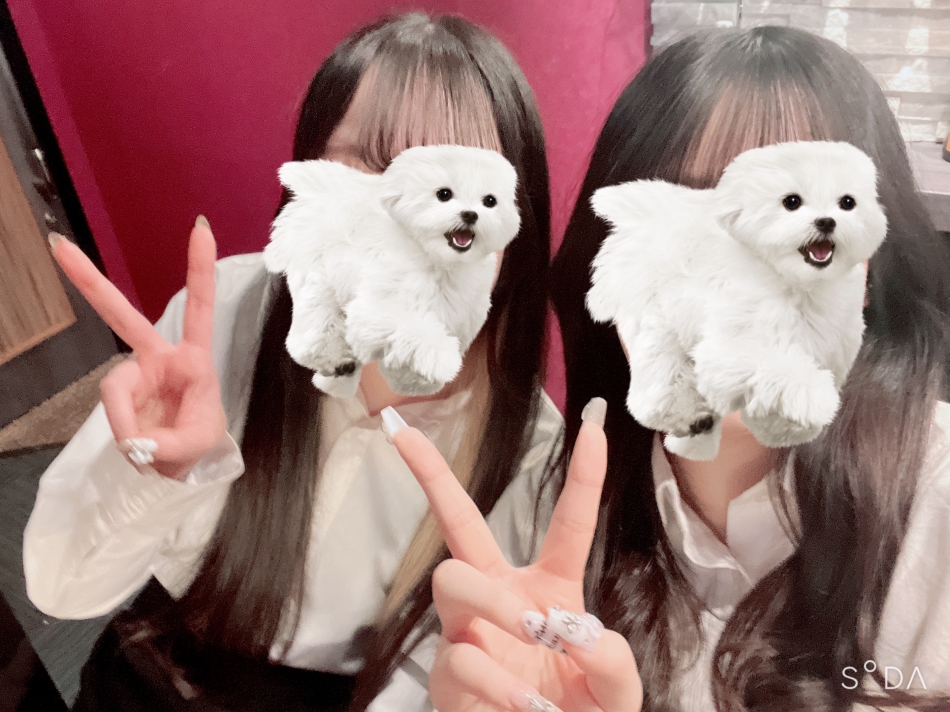 Girls Bar LiLiTH日記1039632
