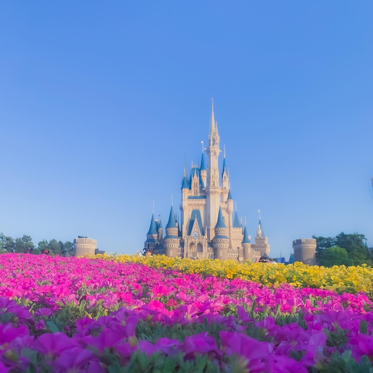 .
久々のディズニーランド
.
相変わらずショー抽選は全滅でしょんぼりだけどニューボイスのミッキーにいまだに馴染めてないからこれで良かったのかもしれない🕊
.
1枚目のお城、最近城前はTikTok勢とか地べたに座り込む人とか多すぎて民度低いから避けてるんだけど、少し離れた所からの方が綺麗に撮れて好き🌷🏰
ディズニーランドローズも満開だったから写真撮ってくれば良かったな…🌹
.
ちなみにランドだとスターツアーズとホーンテッドマンションが大好きです🦇🖤
あとベイマックスもめちゃくちゃ楽しかった！
美女と野獣は