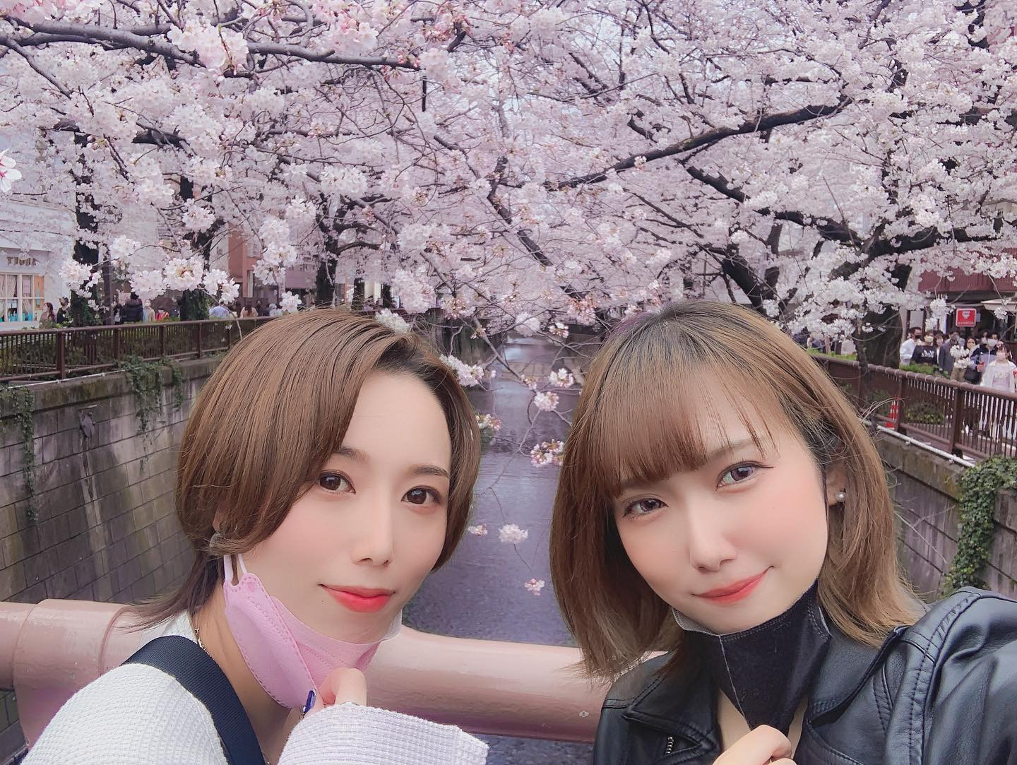 .
えりか氏と目黒川の桜見てきた！
毎年混んでそうだから行ったこと無かったんだけど、ちょうど遊ぶタイミングが合って見に行けた🌸🌸
ただ花粉がやばすぎて途中死ぬかと思った😂
.
あと犬パラダイスすぎて通り過ぎる犬たちに声掛け案件してしまったりした🐕🐩🦮🐕‍🦺
わんちゃんは正義🐶
.
途中で桜の木にチャッキー乗せられててホラーだった…
.
.
.
#中目黒 #目黒川 #中目黒桜 #目黒川の桜 #目黒川緑道 #目黒川桜まつり #桜 #桜並木 #中目黒散歩 #일상 #일상스타그램 #산책스타그램 #いいねした人で