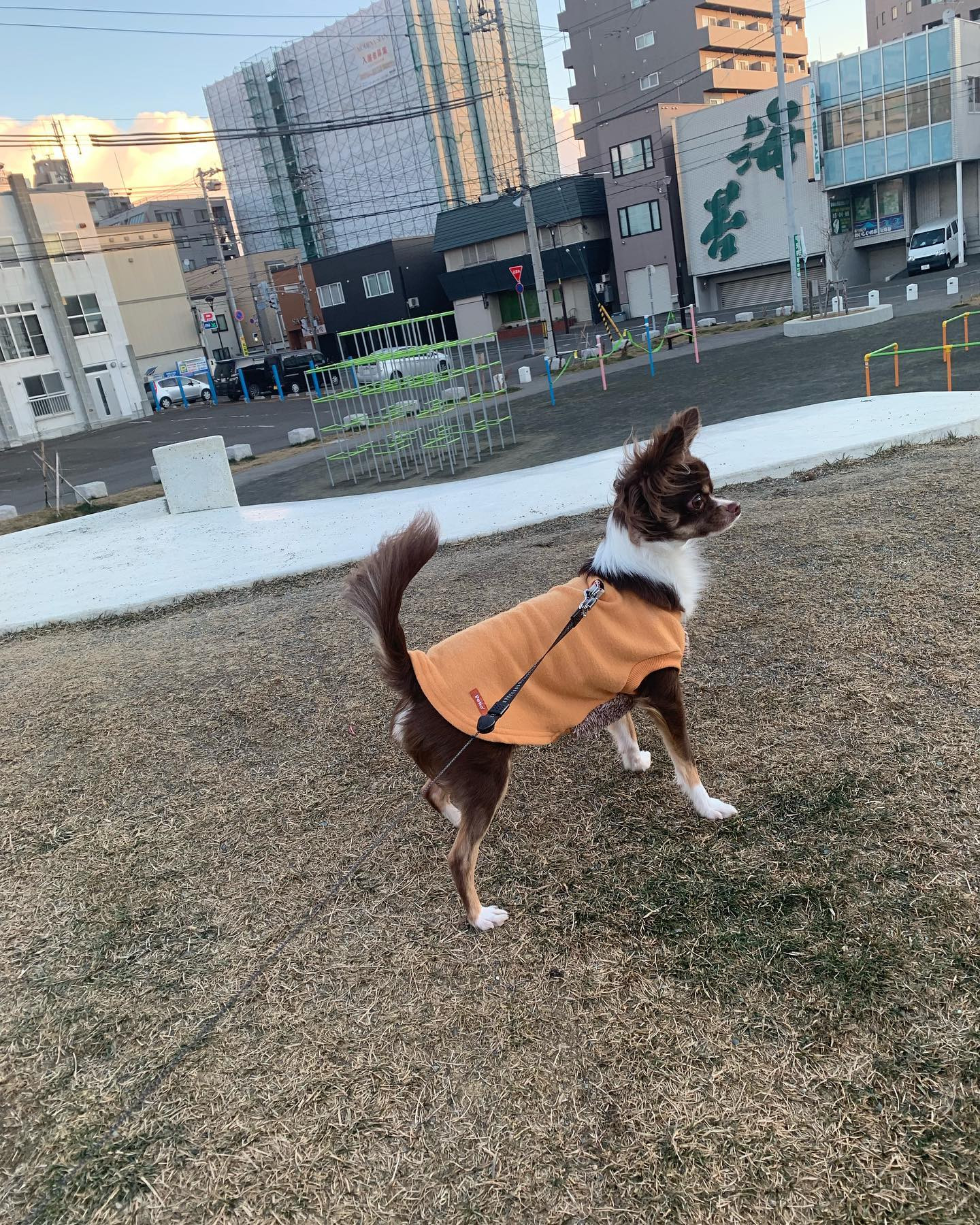 Ocean Sky日記782664