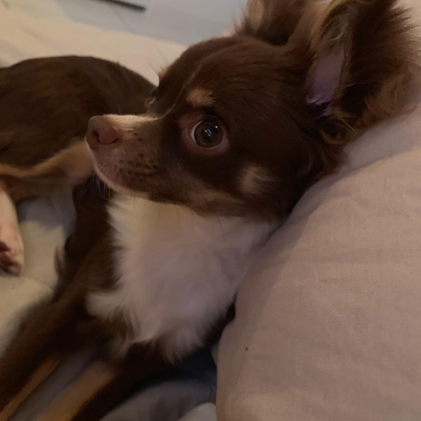 Ocean Sky日記782666