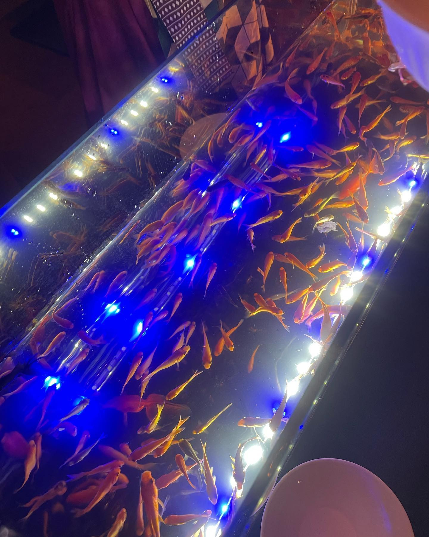 club賓 MAROUDO日記783806