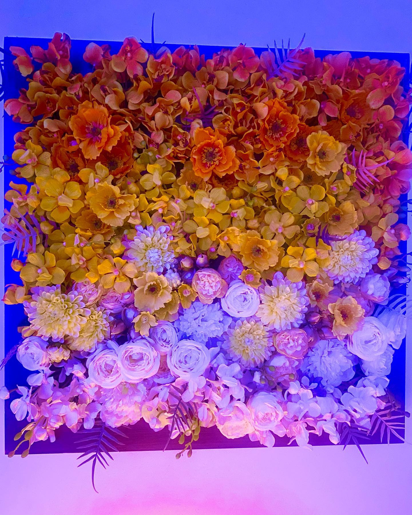 お花とプロジェクションマッピングいい💐🤍

#likeforlikeback#likelike#photogram#スクリーンに恋して#キリトリセカイ#美女#イケメン#推してください#beauty#fffで繋がろう#コメント大歓迎#可愛いは正義#綺麗#fun#instamood#amazing#일상
#日常#followalways#me#yolo#happy#style#life#tagsforlikes#bestoftheday#pretty#cool#ファインダーは私のキャンパス#hot