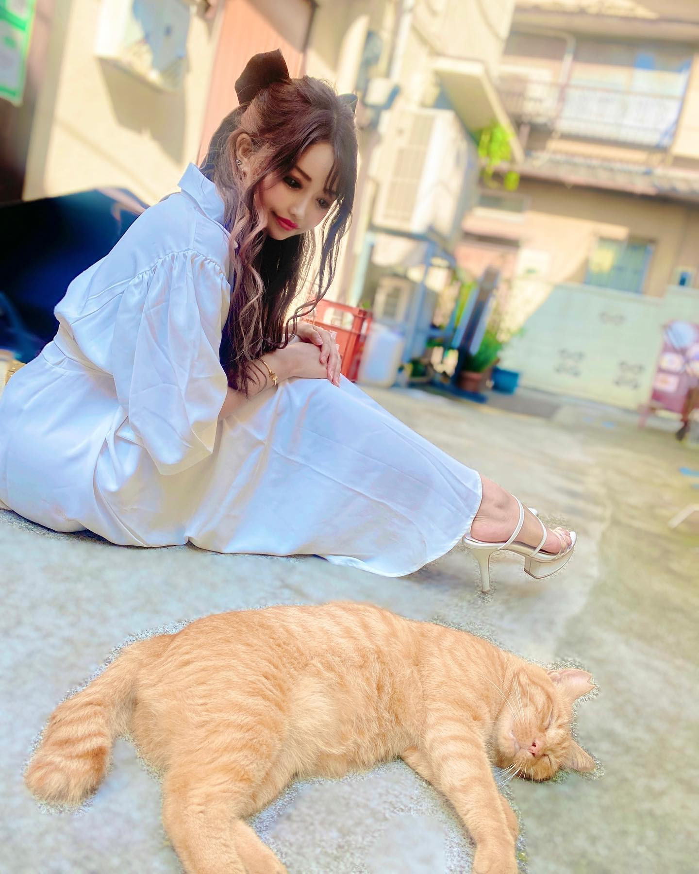 猫よりたくさん寝れる自信がある🐈💤

#likeforlikeback#likelike#photogram#スクリーンに恋して#キリトリセカイ#美女#イケメン#推してください#beauty#fffで繋がろう#コメント大歓迎#可愛いは正義#綺麗#fun#instamood#amazing#일상#鎌倉#かまくら#鎌倉観光 #鎌倉散歩 #ねこ#猫#ねこ好き #猫写真 #にゃんこ#ロングスリーパー#ゴロゴロ#癒し#ストレス発散