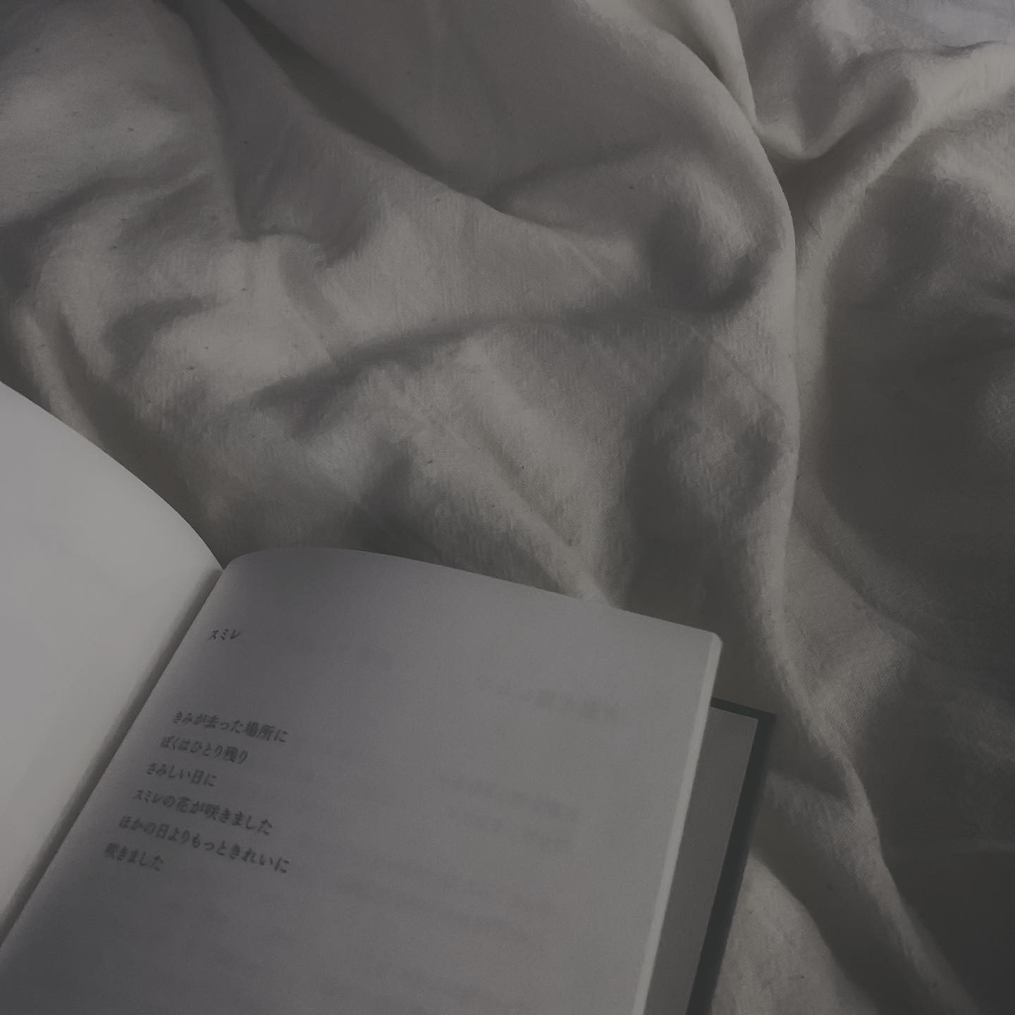 .
最近、去年の事をよく思い返してる。
なんか年々あっという間に時間が過ぎていく気がして仕方ない…こうして歳を重ねるのか🤔
.
最近は家事をサボる日が多かったから、昨日冷蔵庫と冷凍庫の大掃除をして霜取りもした🧊❄️
面倒だなと思ってる事ほど、解決すると気分良いよね。
.
今週の #寧々シフト はこれです🦭
.
9/5(月)
9/6(火)
9/9(金)
9/10(土)
.
だんだん大好きな秋に近付いてきた気がしていたけど、今日は暑いみたいだから仕事まで引きこもろう🏠
.
今日は21:00から出勤です、よろし