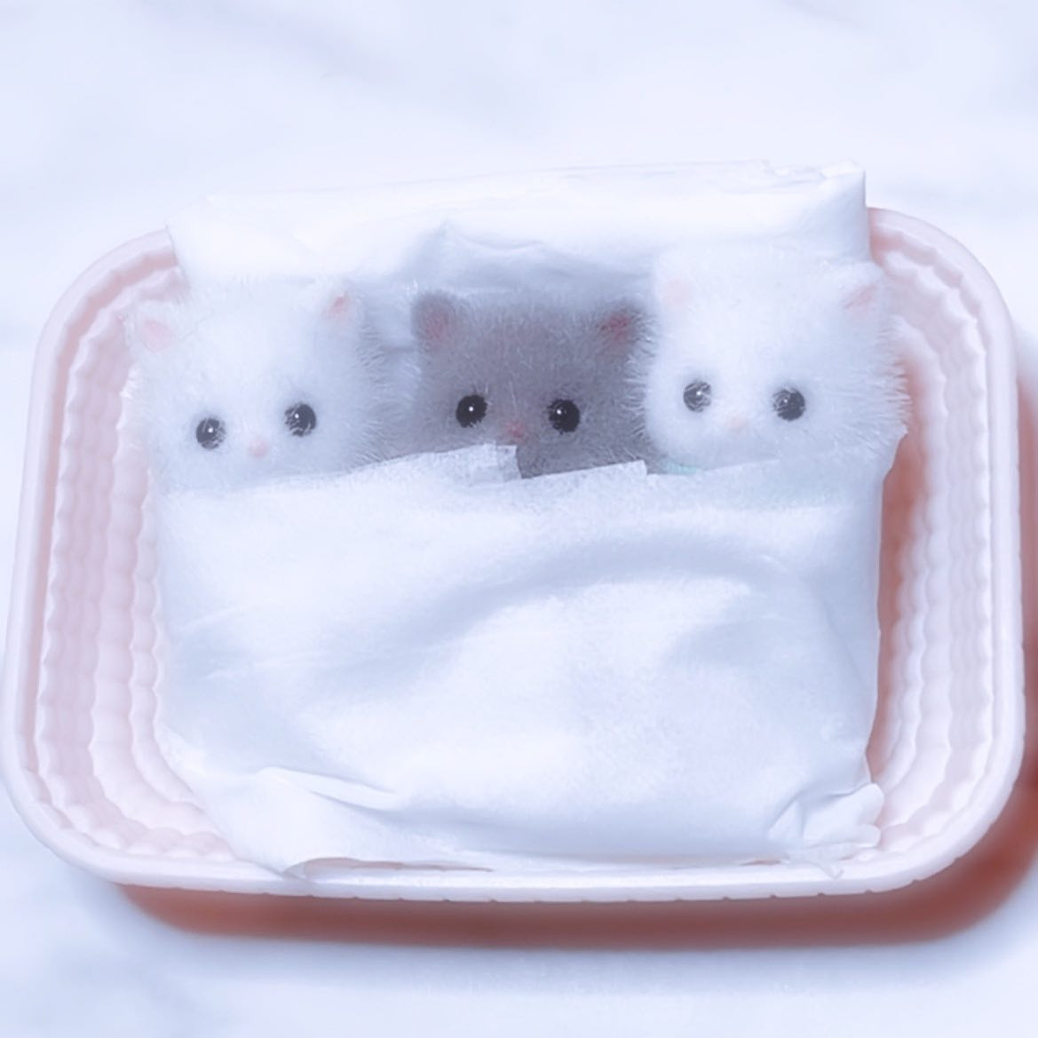 コンセプトカフェ えんじぇる日記787490