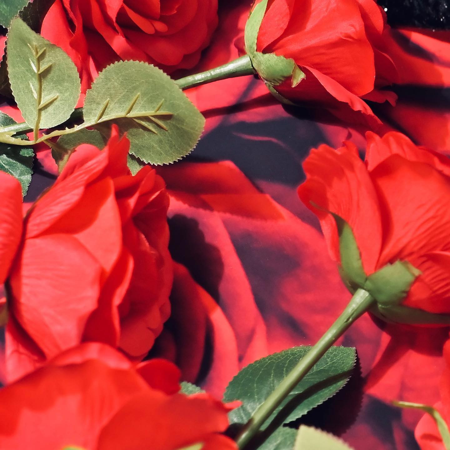 MILLION 5条通店 ホットニュース 30664