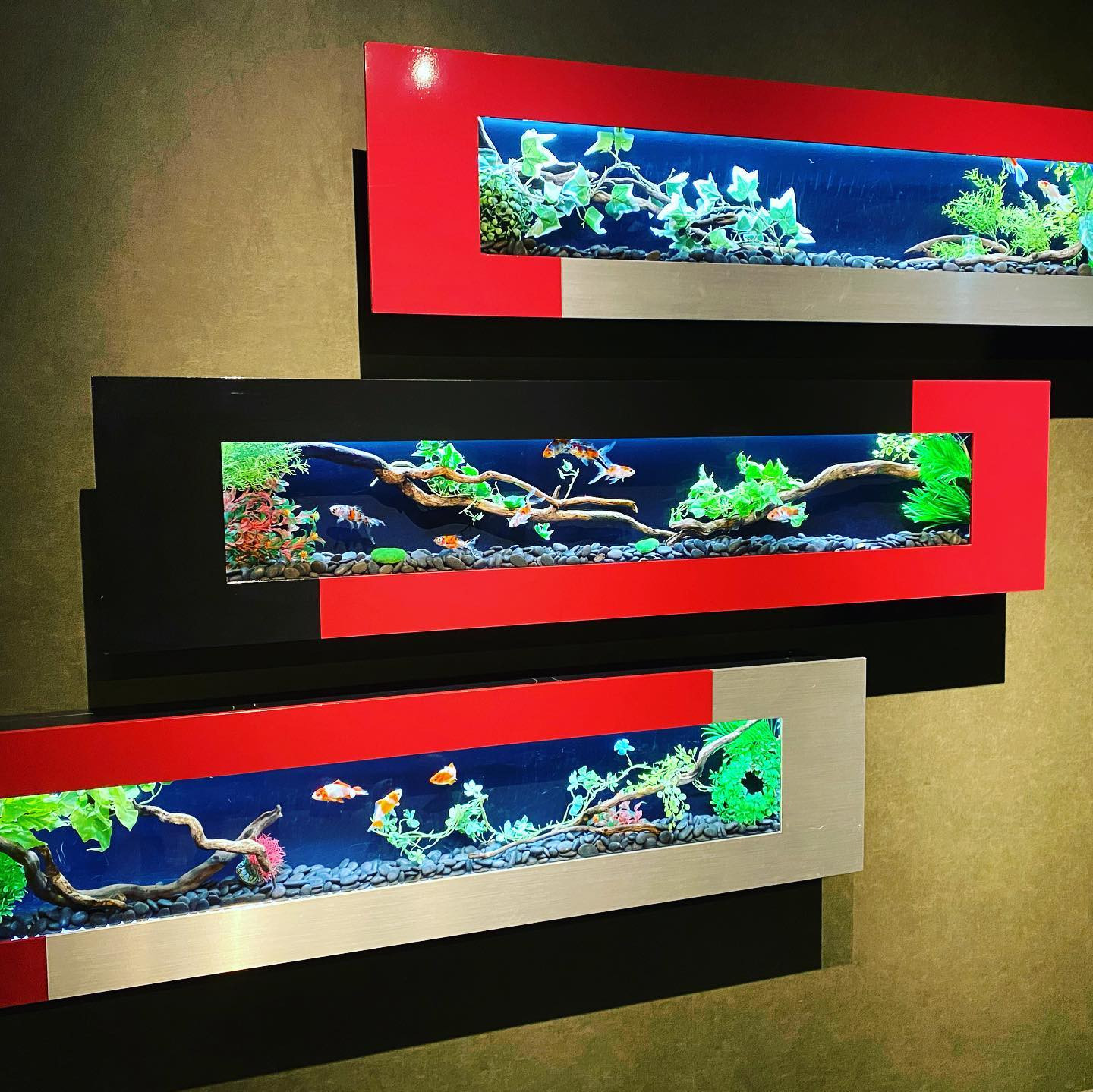 最近ではないけど、大好きなとこ何回行っても飽きないねぇ

#日本橋 #アートアクアリウム #金魚 #コレド室町 #金魚鉢