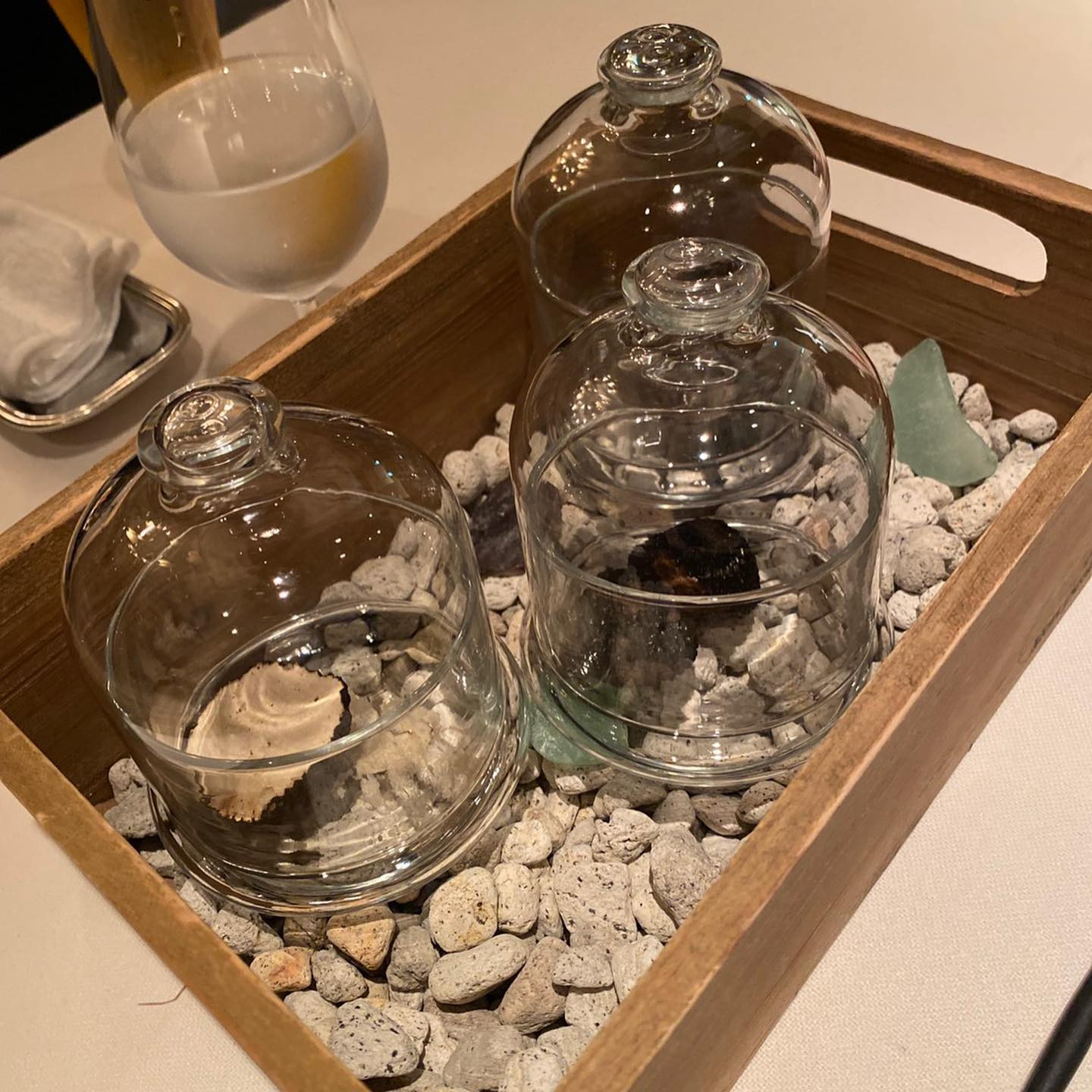 美人茶屋日記788010