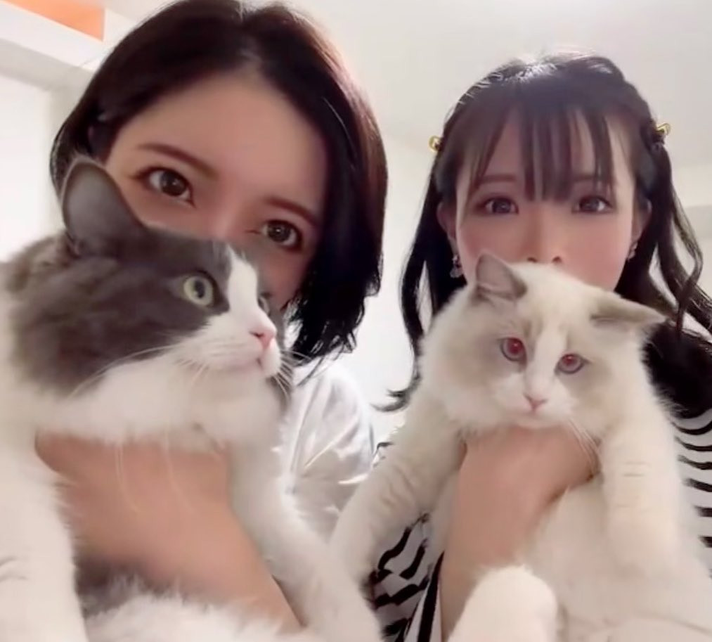 、
猫友🐈🤟🏻
昨日オータムの後
お家にも遊びに来てくれて
猫達の可愛い写真撮ってくれた🥰

#ヘレナ#響グループ#百瀬るあ#札幌
#すすきの#北海道#ニュークラブ　
#ニュークラ嬢#すすきのニュークラ#ラウンジ#ラウンジ嬢#キャバクラ#キャバ嬢#ホステス#美女#夜職#ガールズバー　#キャバドレス#インスタグラビア #すすきのキャバクラ#ゴルフ#ゴルフ女子#旅行#JGC#JAL#カメラ