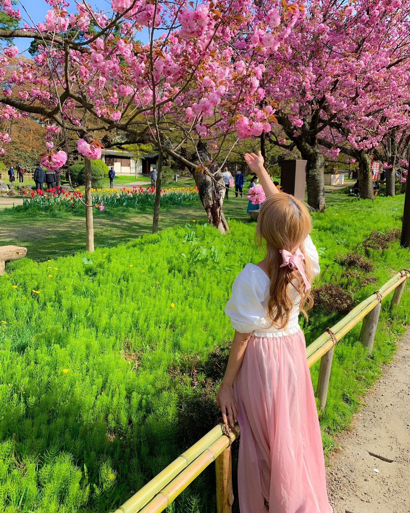 弘前公園の八重桜🌸💕
ソメイヨシノが過ぎても
楽しめる弘前公園🌸
*
めちゃくちゃ時差投稿
ごめんなさい、、笑😭
むしろ来年の春に載せた方が
良いのかなとか思うレベルなので
少し載せて残りは来年にしよ☺️
、、って言って絶対来年には
忘れてるの繰り返しなんだ～😂
だから今載せとく、、笑
*
#弘前公園 #桜 #お花見 #花見コーデ #弘前 #弘前市 #青森 #青森観光 #桜並木 #八重桜 #八重桜🌸 #花 #花のある暮らし #被写体女子 #風景写真を撮るのが好きな人と繋がりたい #春 #春コーデ #撮影会