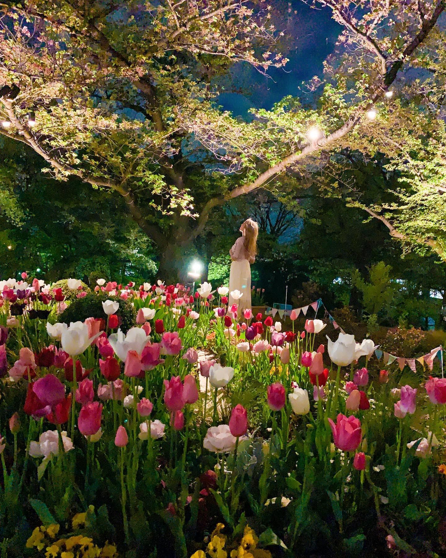 夜桜の下で
咲き誇るチューリップ🌷🌸🌃
*
*
*
#公園庭園春フォトコン2022 #浮間公園 #浮間舟渡 #ライトアップ #オランダ #チューリップ #チューリップ畑 #公園フォト #公園散歩 #イルミネーション #桜 #桜ポートレート #桜スポット #桜の名所 #花見 #netherlands #花と光のムーブメント #春服コーデ #ピンクコーデ #ソロキャンプ女子 #tokyopark #ukimapark #cherryblossom #oranda #sakura #sakura2022 #fl