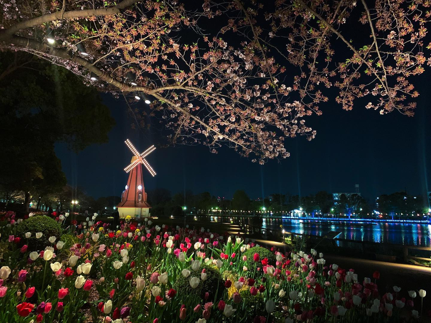浮間公園
花と光のムーブメント
ライトアップ.*･ﾟ
*
夜が深まってく前の
青い空も綺麗だし
永遠にみてられる、、
目に焼き付けた🥲✨
*
来年も楽しみすぎる、、！
*
#公園庭園春フォトコン2022 #浮間公園 #浮間舟渡 #ライトアップ #オランダ #チューリップ #チューリップ畑 #公園フォト #公園散歩 #イルミネーション #桜 #桜ポートレート #桜スポット #桜の名所 #花見 #netherlands #花と光のムーブメント #春服コーデ #ピンクコーデ #ソロキャンプ女子 #tokyopa