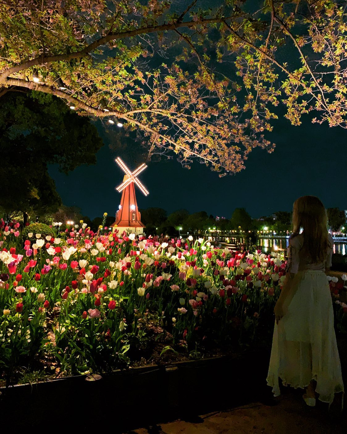 花と光のムーブメント
光のエリア.*･ﾟ
風車とチューリップのライトアップ⸜🌷︎⸝‍
*
池のまわりもライトアップされてて
お昼の青空チューリップとは
また別のお顔でとっても
綺麗すぎて🥲✨
*
お昼と夜どっちも素敵すぎて
24時間観てたいくらい、、💓
桜のライトアップも素敵だけど
チューリップのライトアップも
いろんな色がとっても華やかで
キラキラしてる❁⃘*.ﾟ
*
風車、1年中ライトアップ
しててほしいな、、笑😻💗
*

#公園庭園春フォトコン2022 #浮間公園 #浮間舟渡 #ライトアップ #オラ