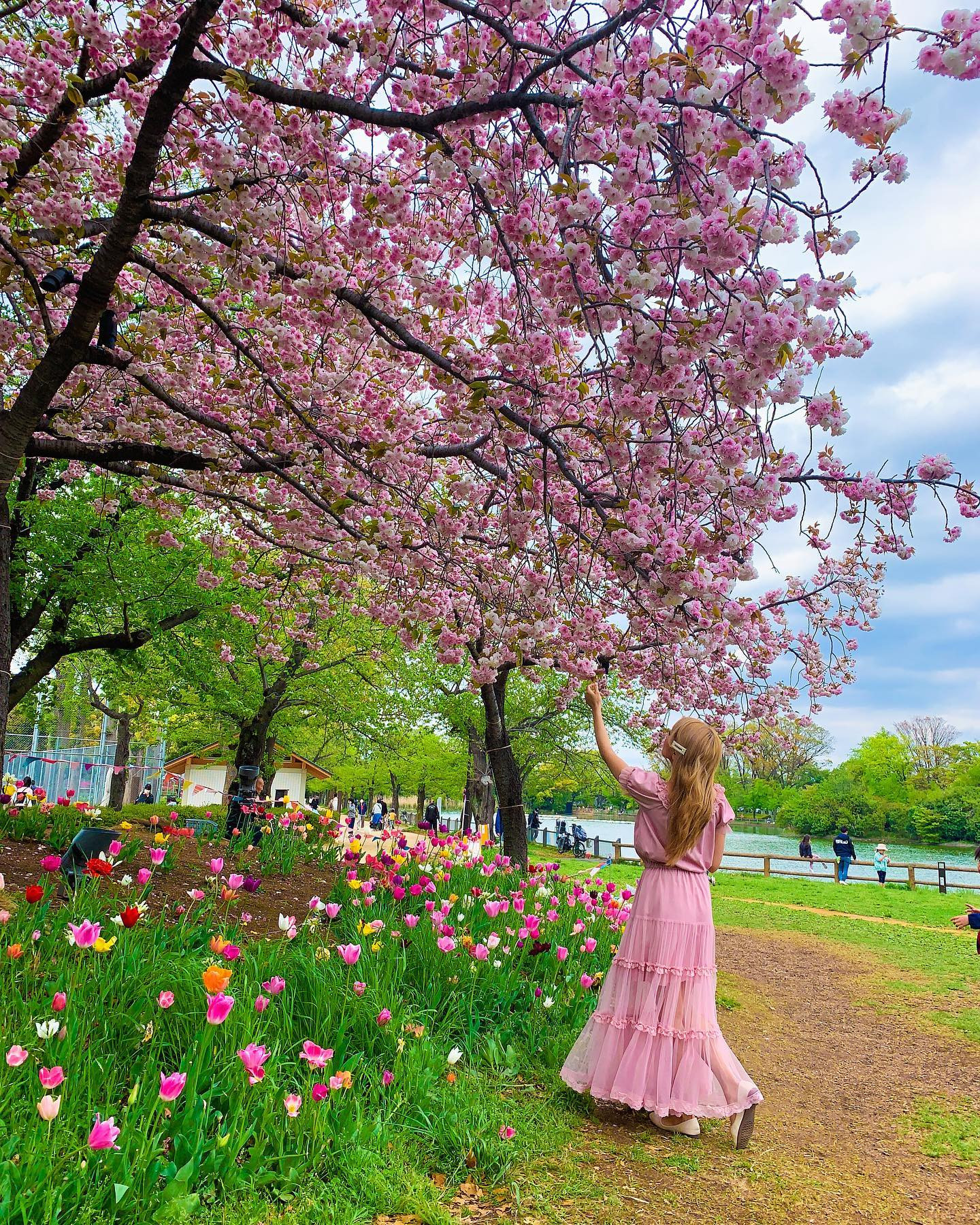 🌸八重桜×チューリップ🌷
ソメイヨシノの出番が終わると
この子達の出番💕
*
#公園庭園春フォトコン2022 #浮間公園 #浮間舟渡 #八重桜 #八重桜🌸 #チューリップ #チューリップ畑 #公園フォト #公園散歩 #公園コーデ #桜 #桜ポートレート #桜スポット #桜の名所 #花見 #花散歩 #春コーデ #春服コーデ #ピンクコーデ #ソロキャンプ女子 #tokyopark #ukimapark #cherryblossom #yaesakura #sakura #sakura2022 #flower