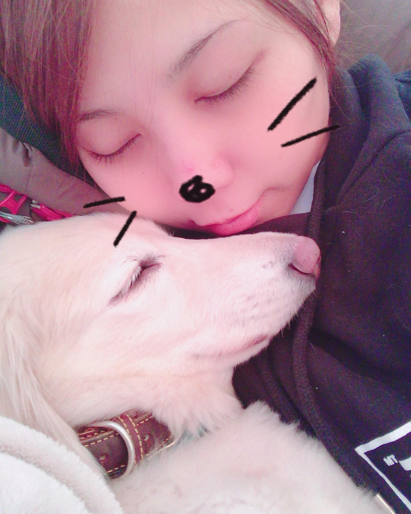 わんちゃんってなんでこんなに可愛いんだろうー‼️

この子は前亡くなった子だけど今の子も大好き💕
わんちゃんならみんな好き💕