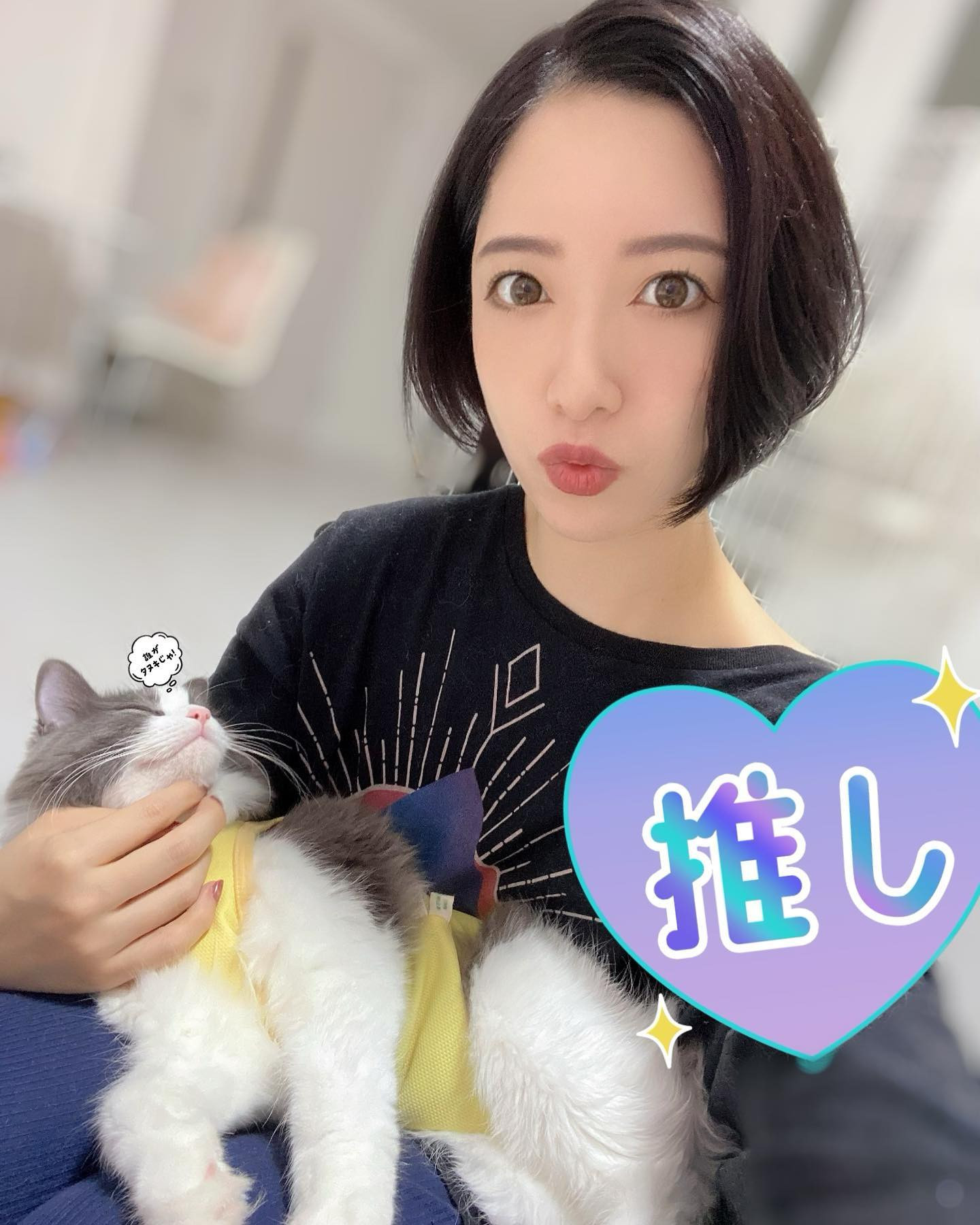、
寝曜日してしまった〜
天気悪いから引きこもる🥹🏠
、
ずっとひっつき虫の猫達🐱
かまわないと切なく鳴いてくるし
最終的にいじけて噛んでくる
困った可愛子ちゃん達です←

#ヘレナ#響グループ#百瀬るあ
#札幌#すすきの#北海道#ニュークラブ#ニュークラ嬢
#すすきのニュークラ#ラウンジ#ラウンジ嬢#キャバクラ#キャバ嬢#ホステス#道産子#美女スタグラム#求人#自撮り#ヘアアレンジ#キャバキャバ
#ゴルフ#ゴルフ女子#旅行#JGC#JAL#カメラ