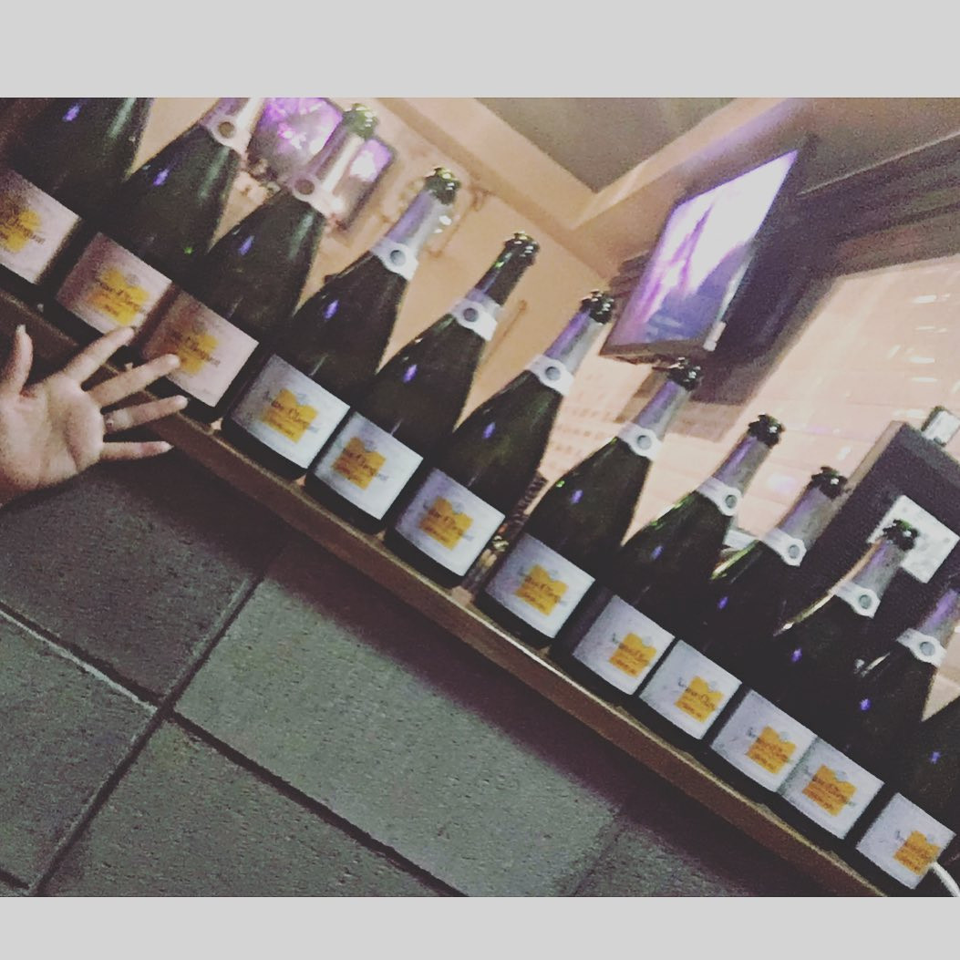 VEGA ホットニュース 33366