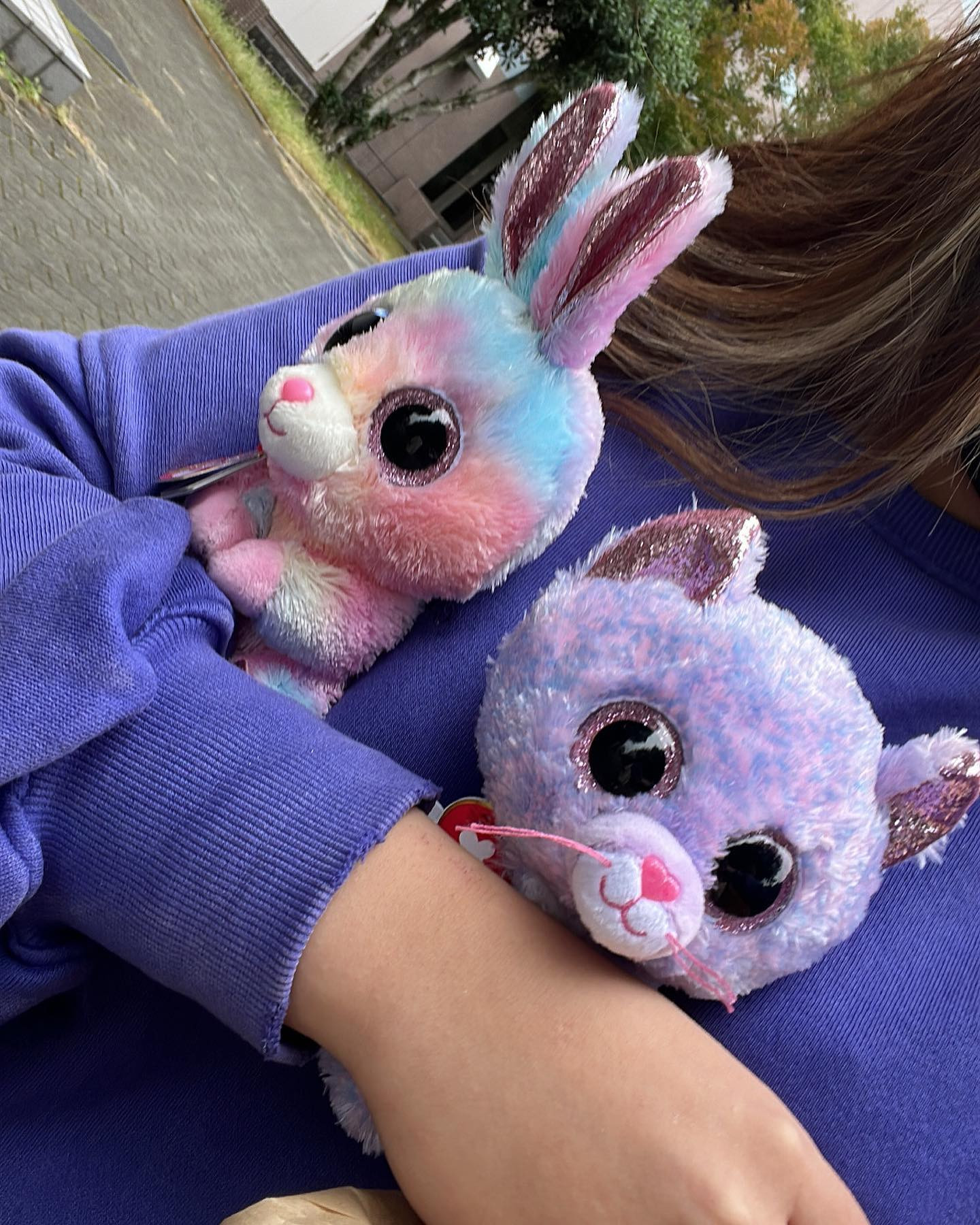 みぃたんとやぁたん🐰🐱