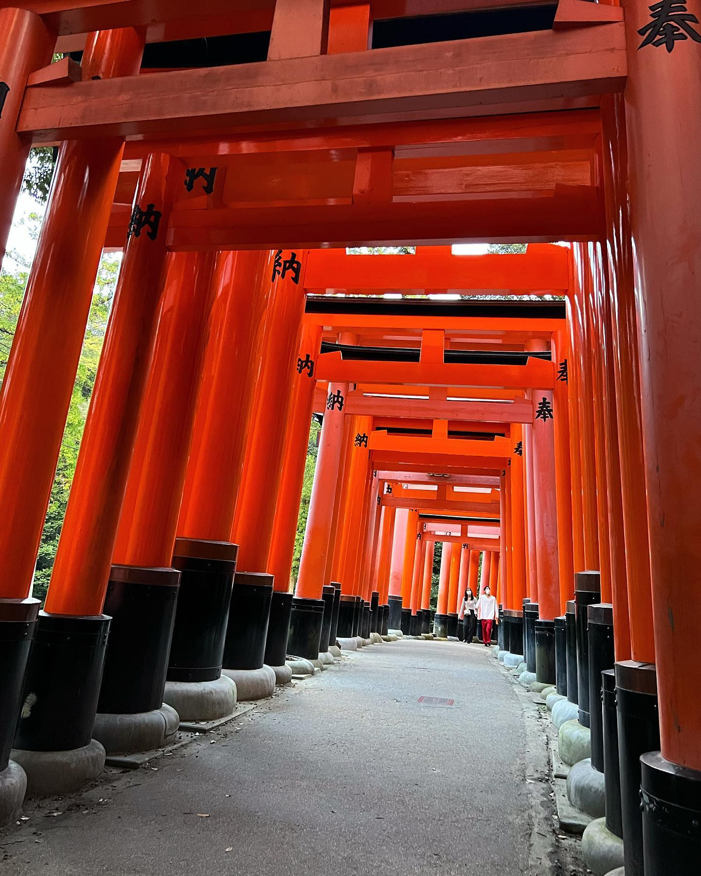 やはり今年も最後まで歩ききれなかった🙀
御朱印はしっかりもらった嬉しい🤭
.
.
#京都 #京都旅行 #伏見稲荷大社 #神社 #御朱印巡り