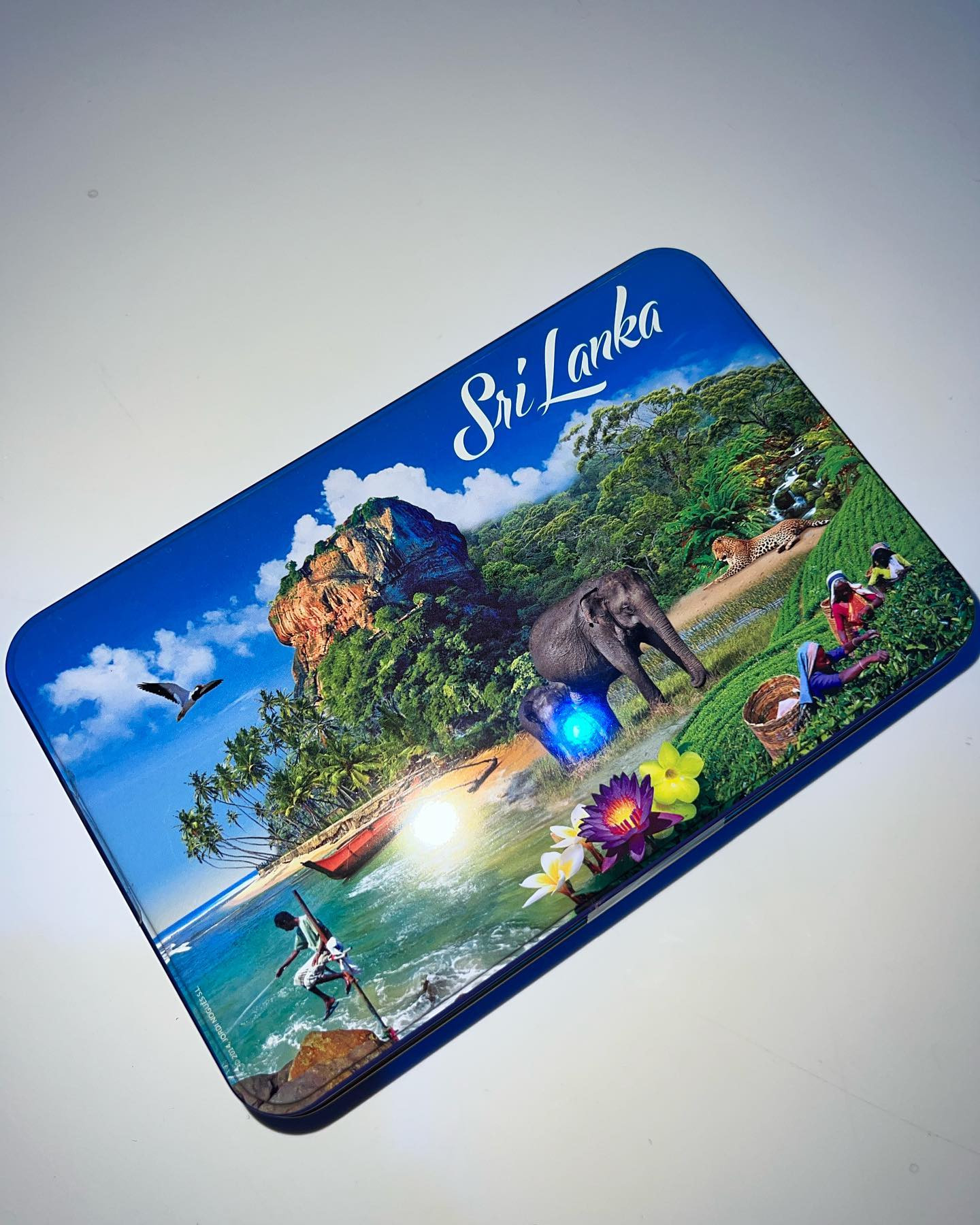 Girl's Bar Blue ホットニュース 35383